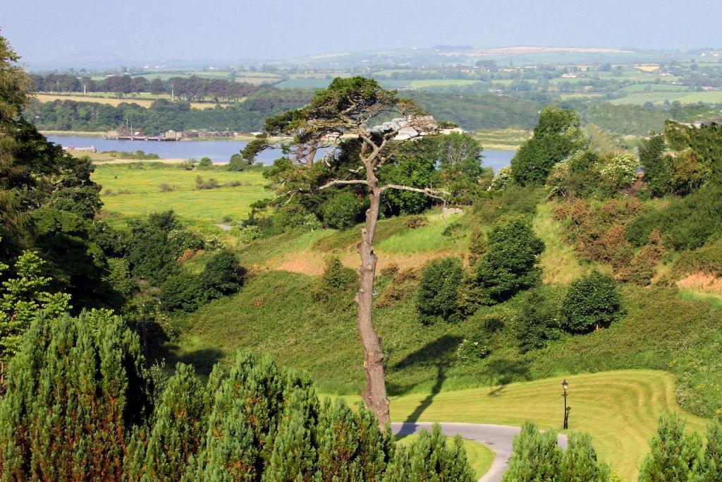 Brandon House Hotel New Ross Luaran gambar
